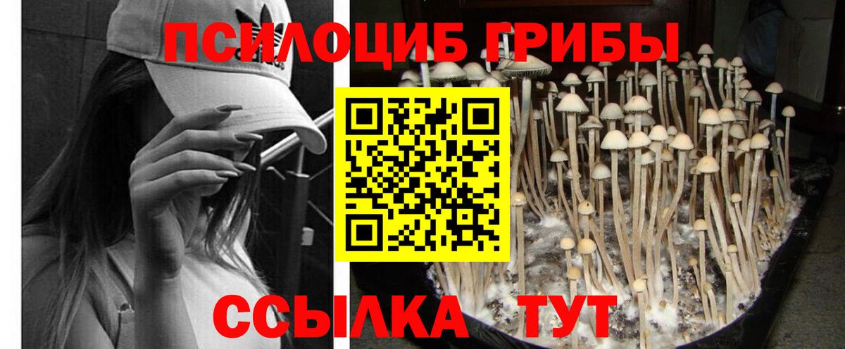 Уварово  Галлюциногенные грибы GOLDEN TEACHER  Вход с VPN 